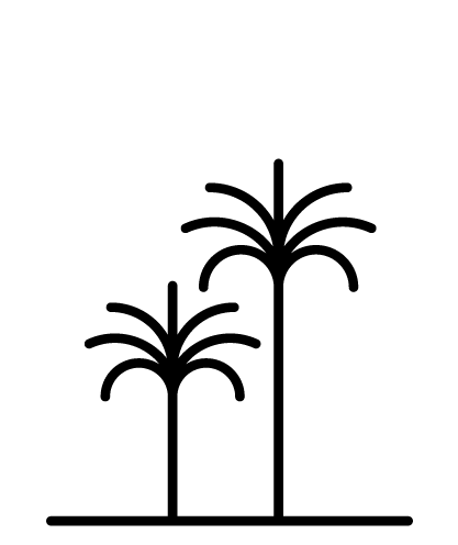 palmen_schwarz.png palmen_schwarz.png