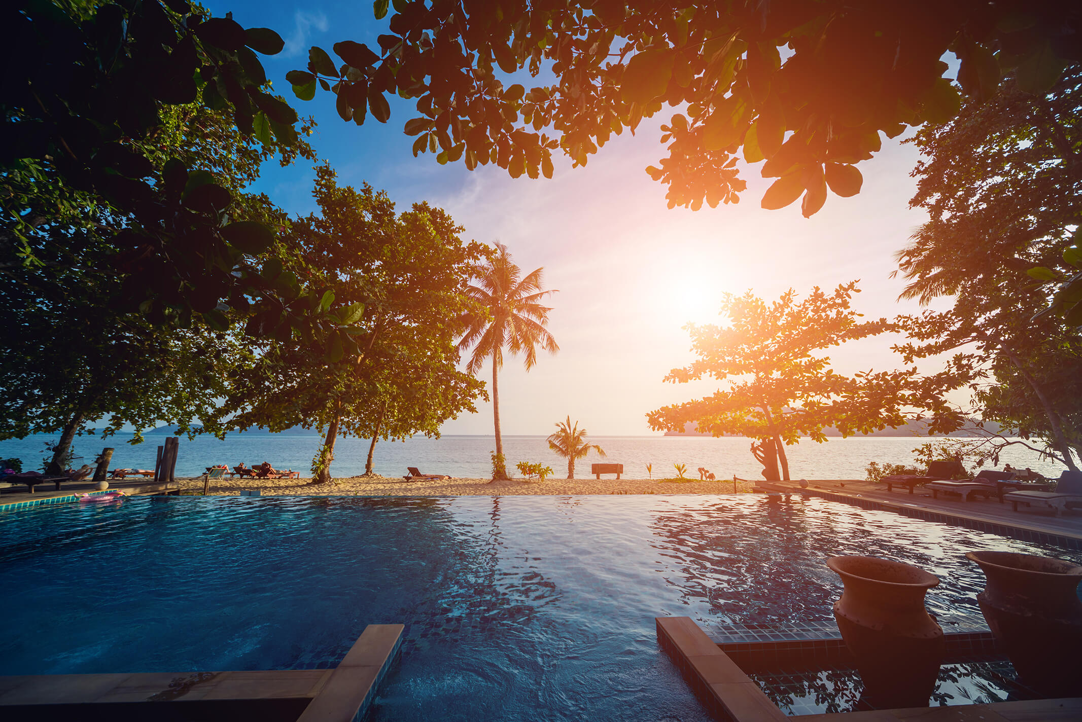 swimming-pool-exotic-tropical-resort-exotic-garden (1).jpg swimming-pool-exotic-tropical-resort-exotic-garden (1).jpg
